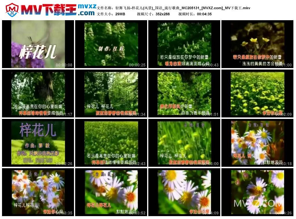 轻舞飞扬-梓花儿(风景)_国语_流行歌曲_MC205131